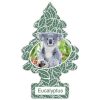 little-trees-car-air-freshener-eucalyptus