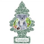 little-trees-car-air-freshener-eucalyptus